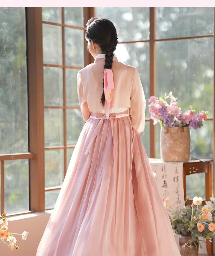 Robe Hanbok Coréenne Traditionnelle Ancienne pour Femme