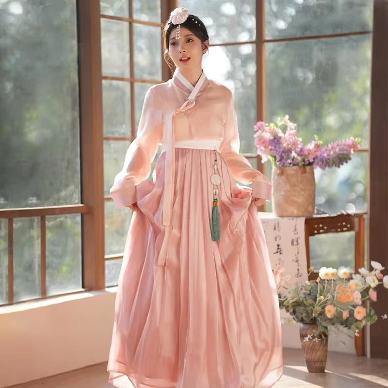 Robe Hanbok Coréenne Traditionnelle Ancienne pour Femme