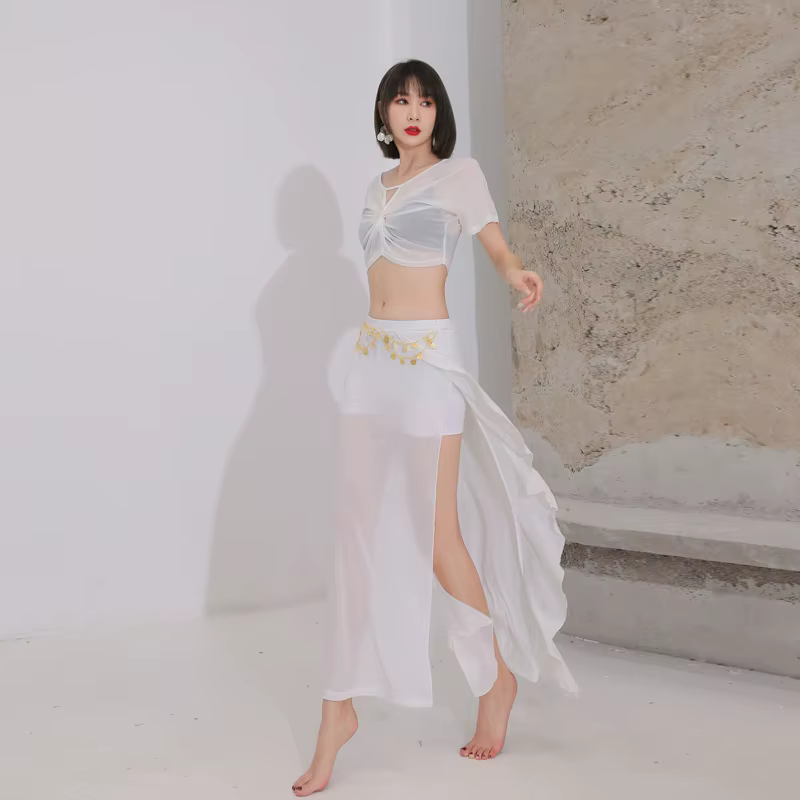 Costumes de danse du ventre personnalisés