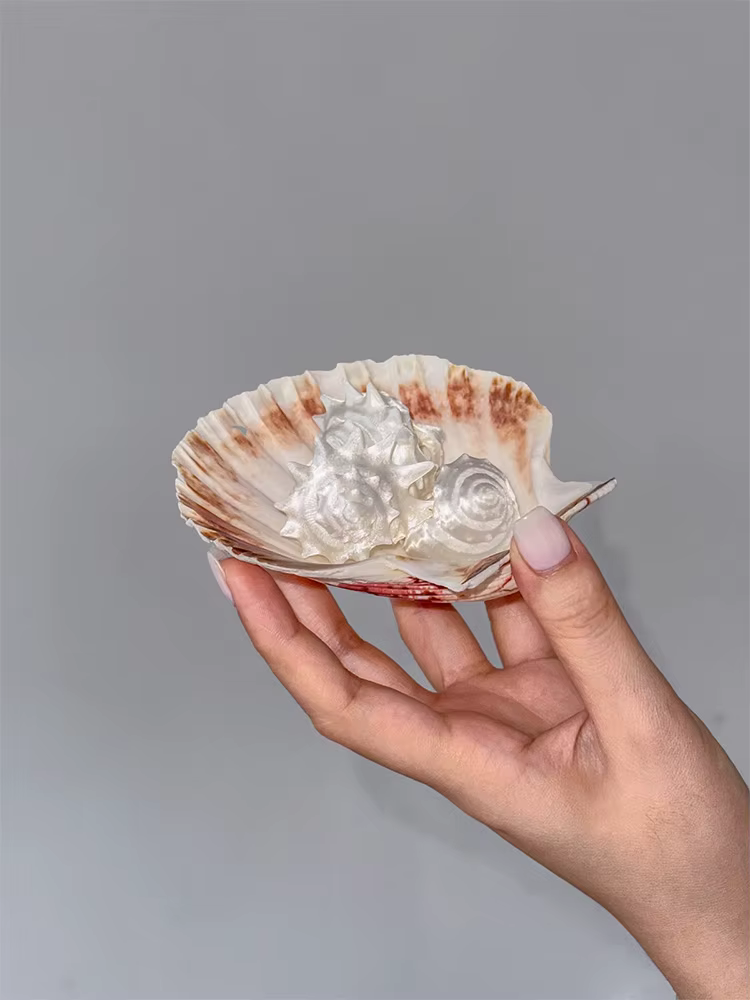 ZHUHE L'anneau conque de style rétro est un accessoire de bijoux parfait pour les femmes et un cadeau de fête pour leurs copines