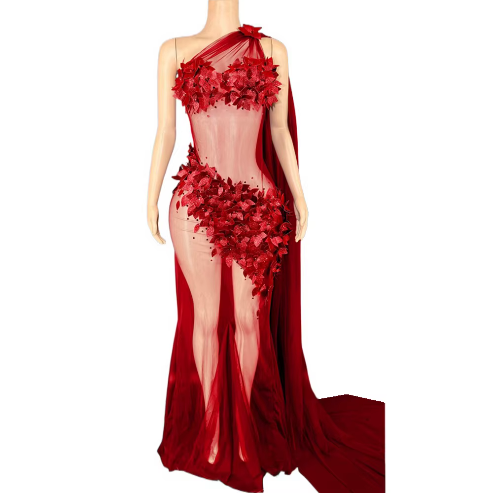 Robe longue à queue transparente pour femmes