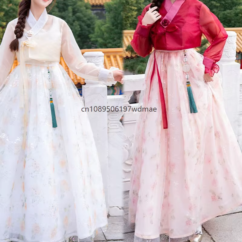 Robe Hanbok Coréenne Traditionnelle Ancienne pour Danse Scénique