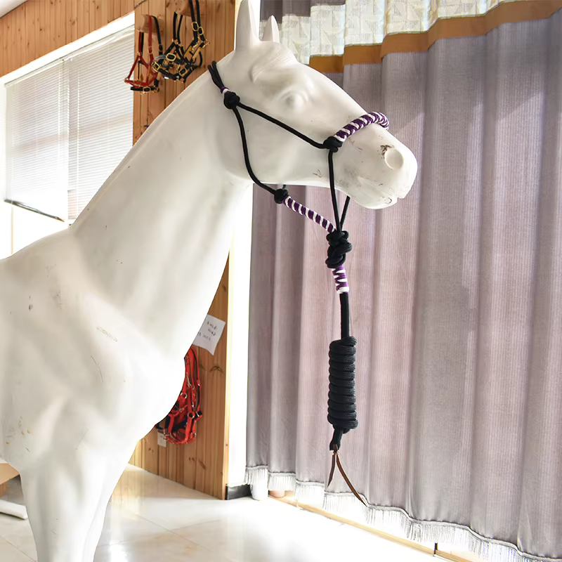 Harnais d'entraînement Western pour chevaux