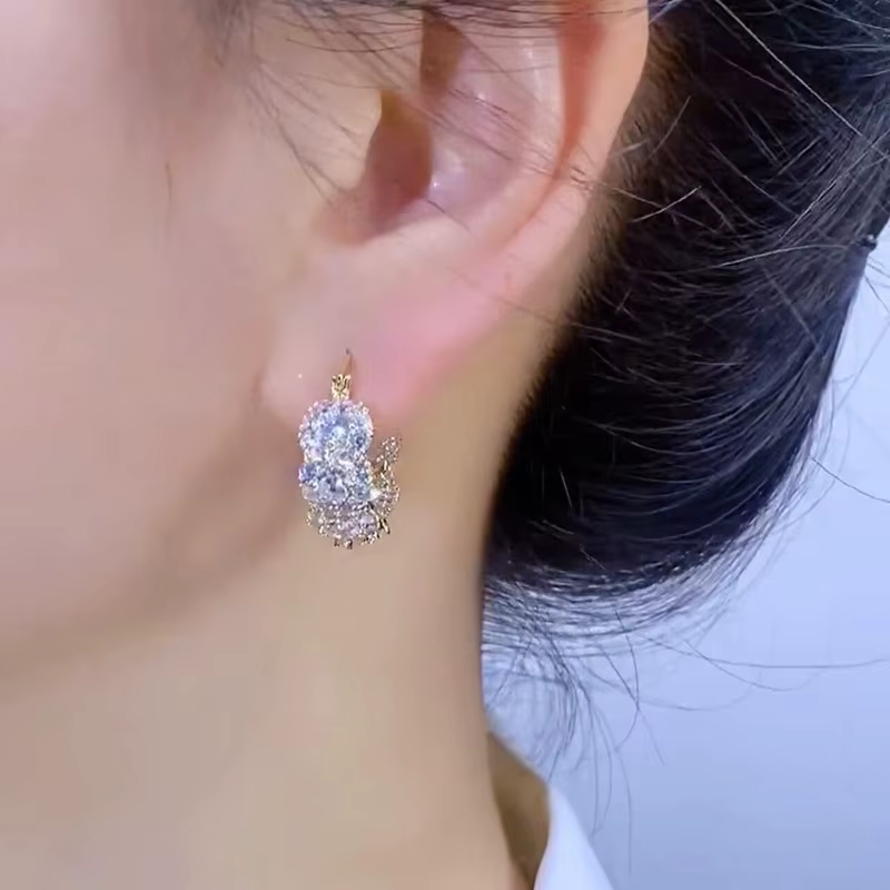 Boucles d'oreilles en Zircon pour femmes