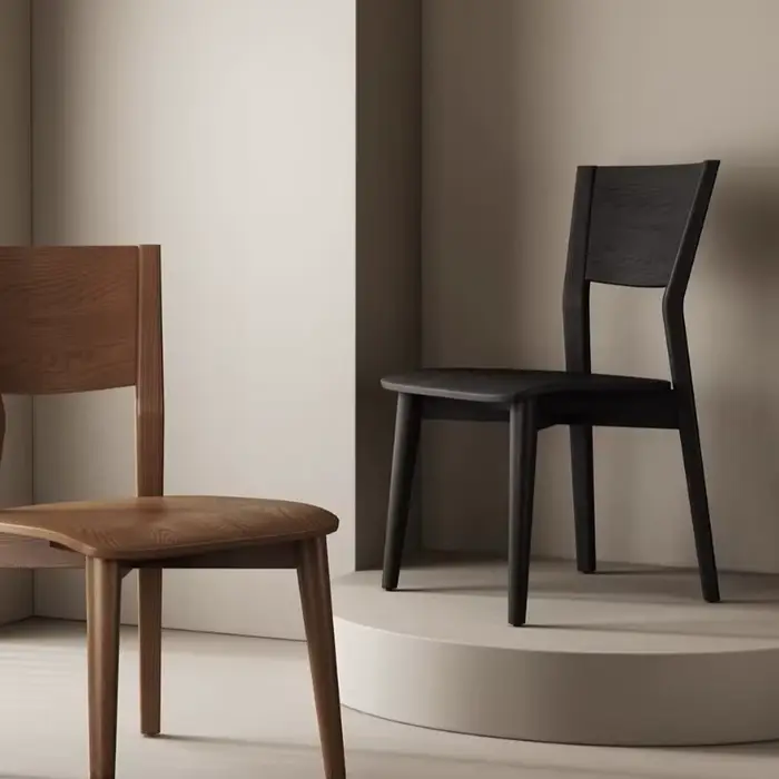 Chaises de salon classiques, chaises relaxantes et élégantes pour adultes, style luxueux, accessoires pour la maison
